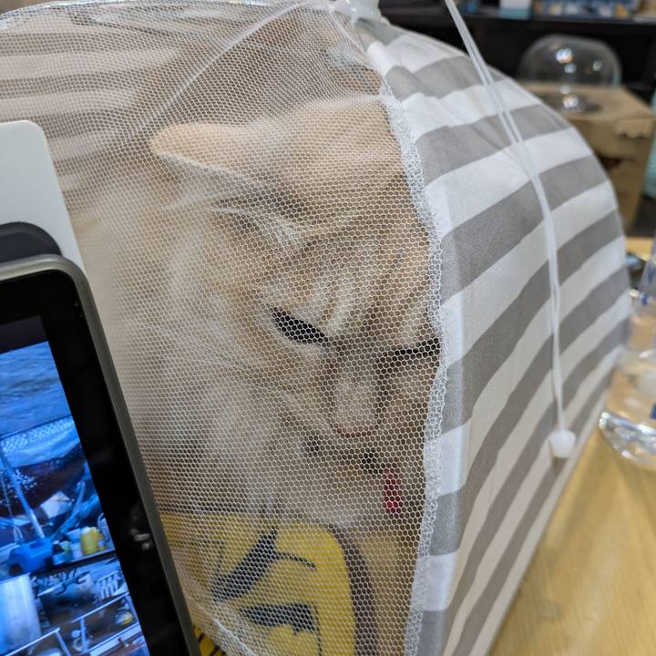 Fc56cb0e 7b65 4a36 a1c7 fc64f5f0919f 1773840542846