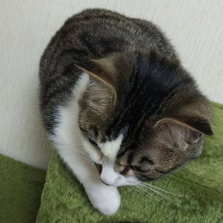 Fc56cc52 4762 4f12 a4fe f265cafbf262 1615899318923