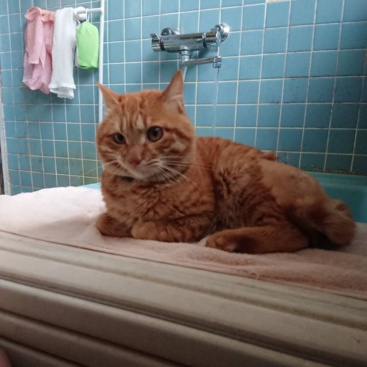 Fc570540 5baa 4b7b b1b6 4c34a3c50634 1655113999684