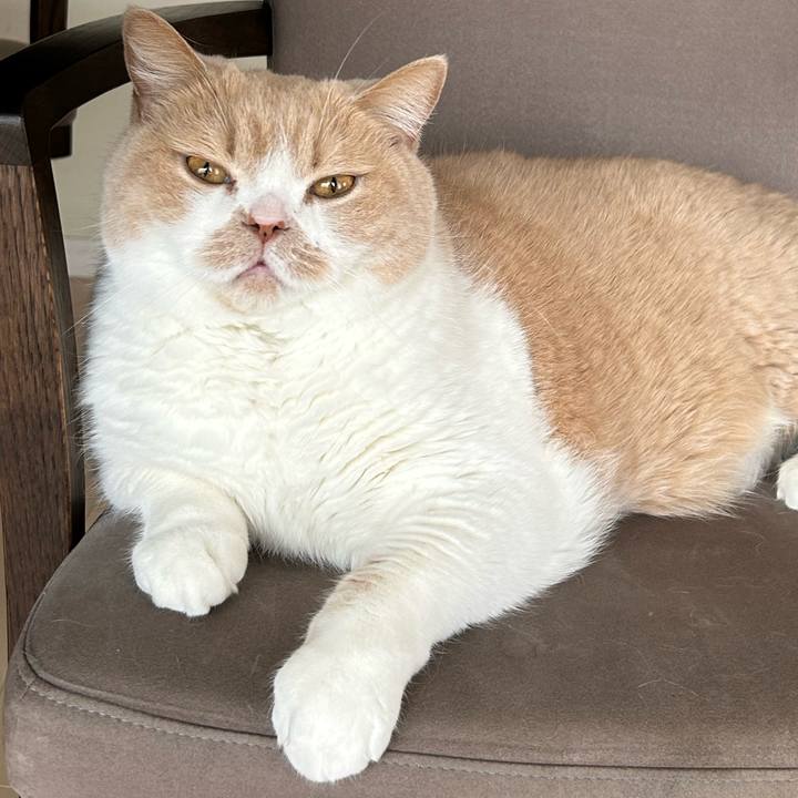 Fc5719c5 c30f 4efe 9dba 0cb40319d03e 1736835898135