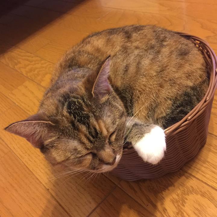 Fc572424 8aa2 4038 b6c4 2d468551e175 1565196121991