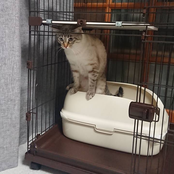 Fc5732fa 9dfe 49b9 88d6 042b10663e5a 1523188706064