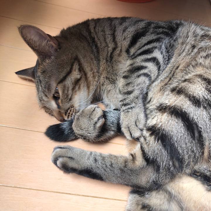 Fc5733e8 c376 4f9f b0da 2f0f1850b51e 1535056552639