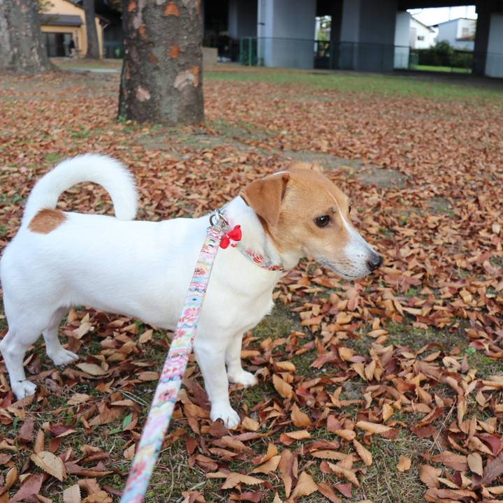 Fc575811 2765 4684 9fdf 3c7cc60cdfff 1542180488615