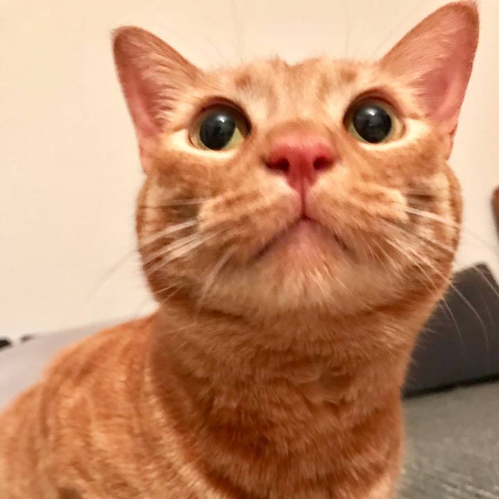 Fc57673c 41e9 495d b5db 5f28945f39a5 1614862499927