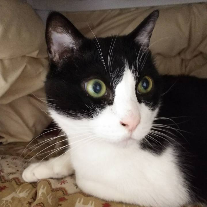 Fc57c066 e47d 4e4e aa71 d5faafde66c1 1551214195416