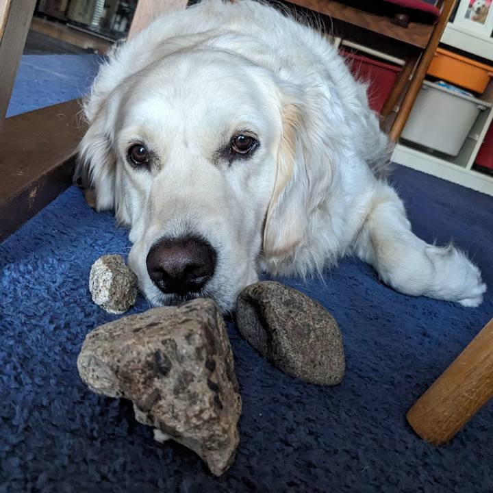 Fc57e6ac 1ea4 4df1 9006 aec5bf7994b5 1774559500717