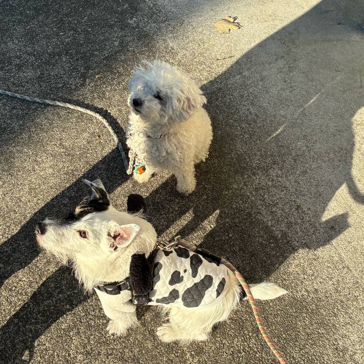 Fc5830f5 e535 465e 9f03 58b269017898 1765495958782