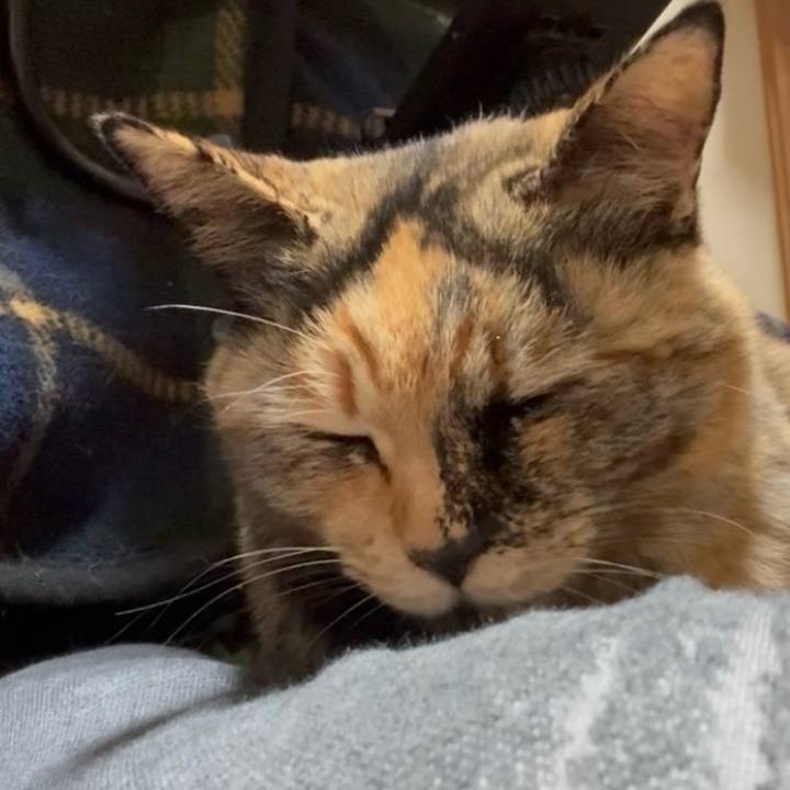 Fc583915 a518 427c ac7e 8fff4e6a7093 1772023521848