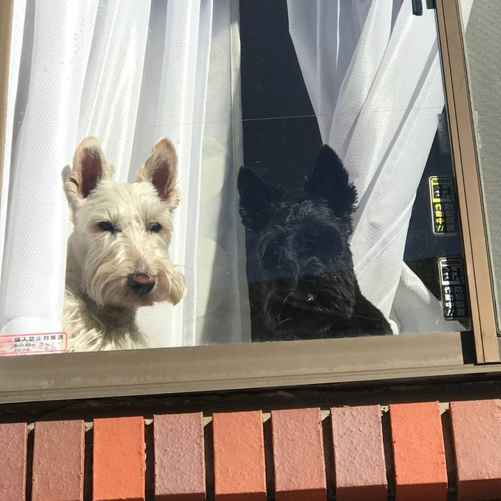 Fc586385 4d3d 4229 845f 67c76e7e5f59 1517146072939