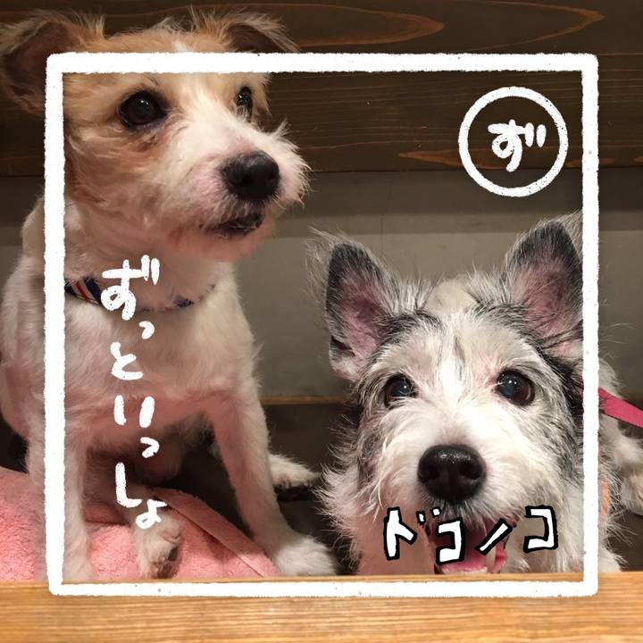 Fc58832a a311 4c25 b2f3 4da8bdd17003 1685967172232