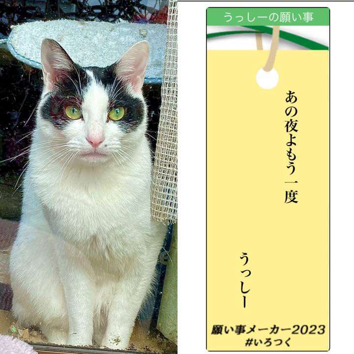 Fc588a1b 531f 4816 af58 714366b2544d 1688707701936