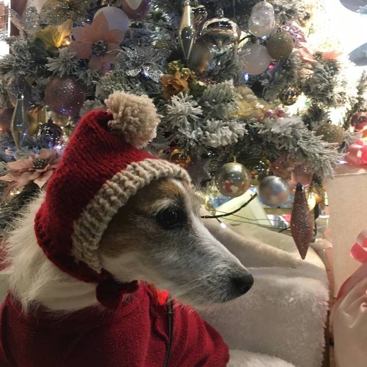 Fc58a8b9 499e 4917 8843 3ab6c6ae070c 1608766286940