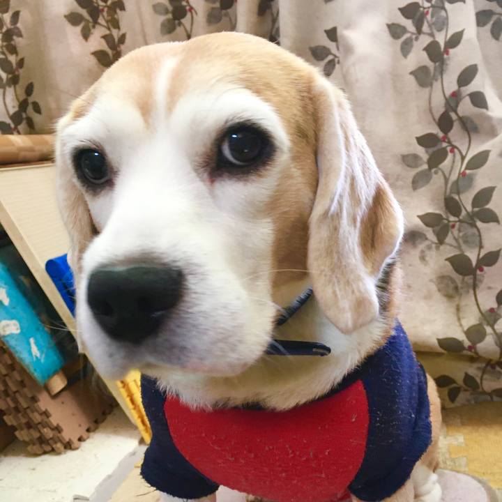 Fc58bb5a 75a5 49d2 b601 a8787f0124c9 1575086253906