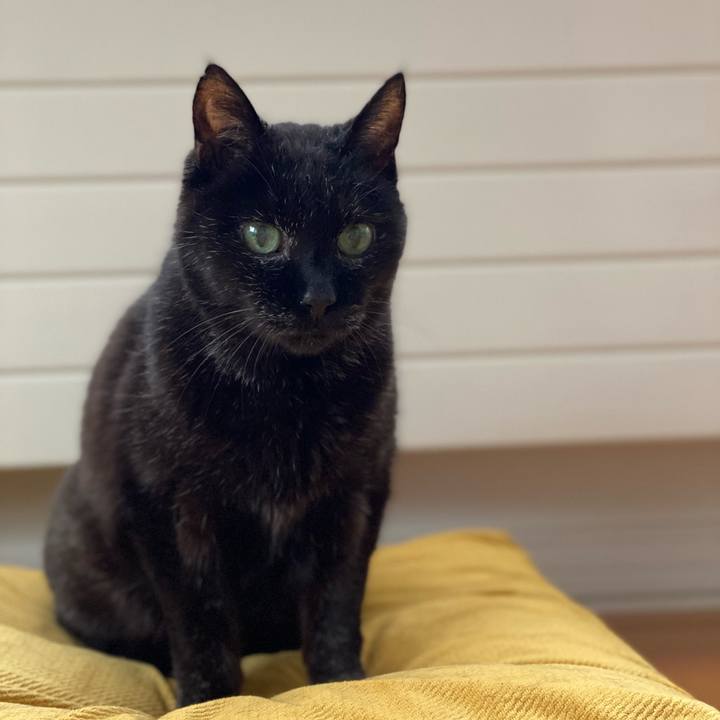 Fc58bc0c dda5 4ff8 aa9f 45403e2af6e1 1678931112695