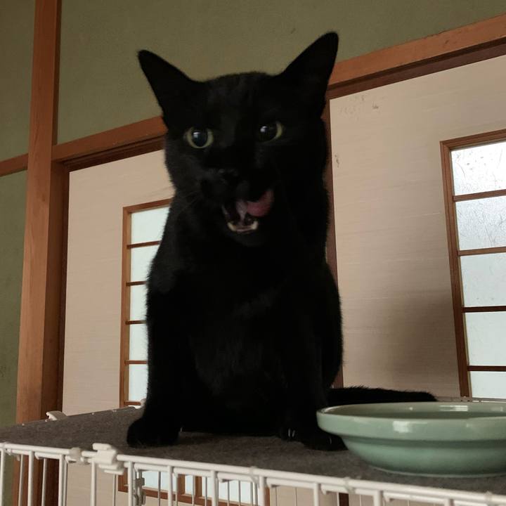 Fc58dc9c ffdb 40b8 95c4 20a8d22a15d5 1577317772521