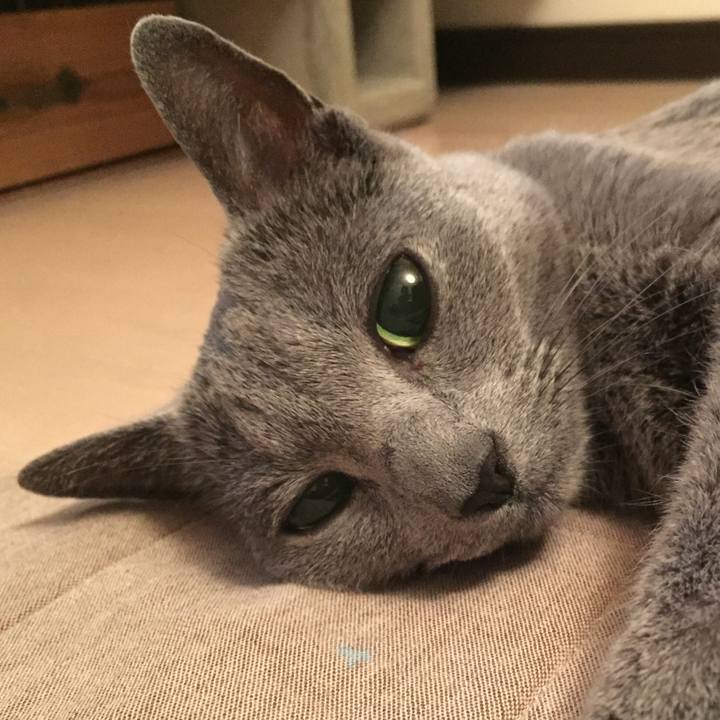 Fc58ed5c 646c 46f8 9128 3efbc25ab467 1555974501340