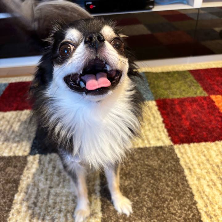 Fc5915f1 503d 46bd b0db ea15e09ceac5 1750526297196