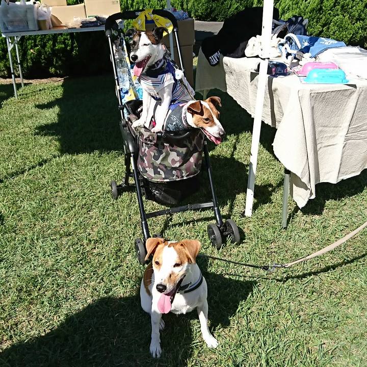 Fc591ee7 be97 4a5e 9d94 f85e73a5ffdd 1538898962140