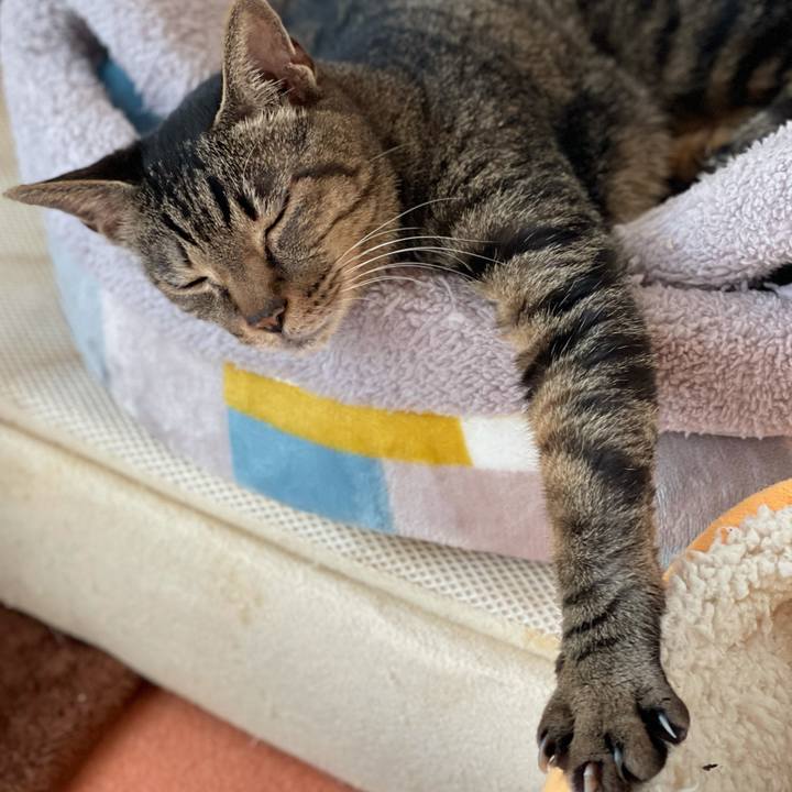 Fc5939d6 18d3 4884 a99f 3530dc7f411e 1614562131715