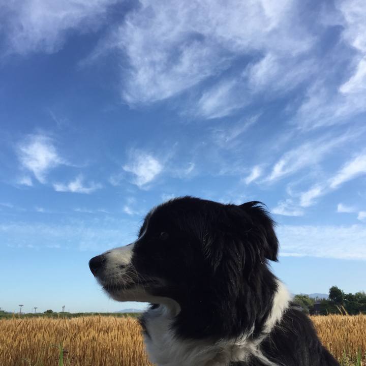 Fc59c614 cdf4 4e19 9cd2 d073a1ab7a69 1558396556787