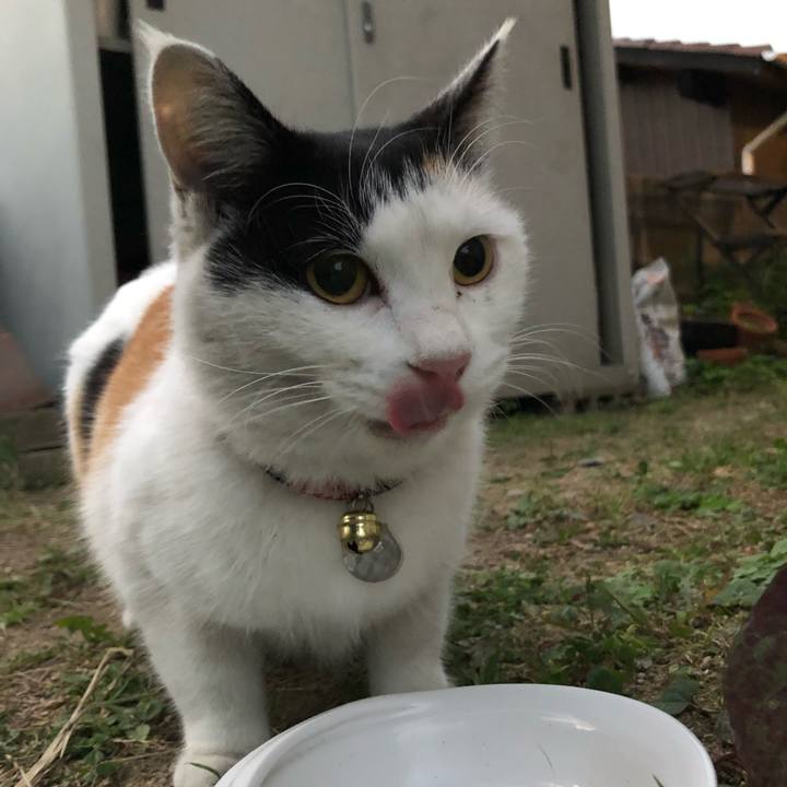 Fc59d979 fa0b 40f6 9cad 1912473c9183 1606687858253