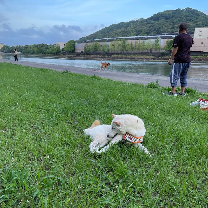 Fc59ff03 934a 43a7 aa5c 5d0e5d7f31b8 1656072179598