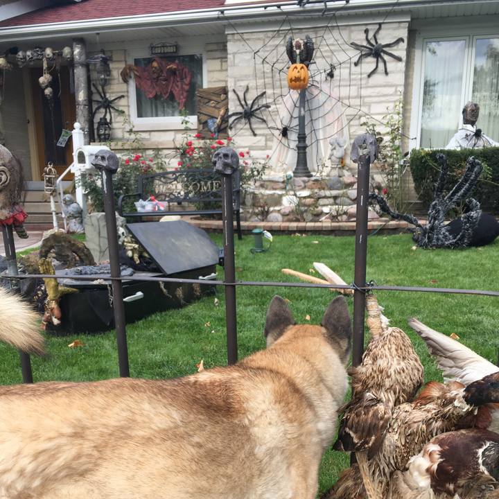 Fc5a0b19 7d62 4f3e ba13 c03d19d34eaa 1509410706454