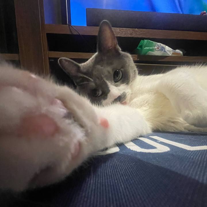 Fc5a3c4a 9ac1 452b ba1c 4e9adc613497 1695307905242