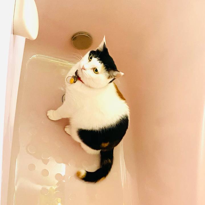 Fc5a3e49 1d12 4e78 9149 668f38f7bf01 1731201060792