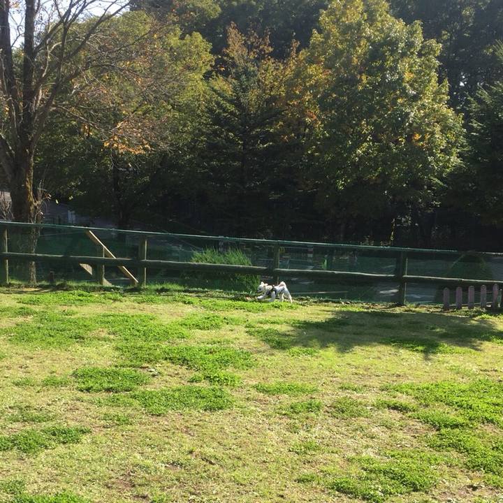 Fc5a4827 23d2 48eb 91fa bf1ada9ccbe7 1509363892883