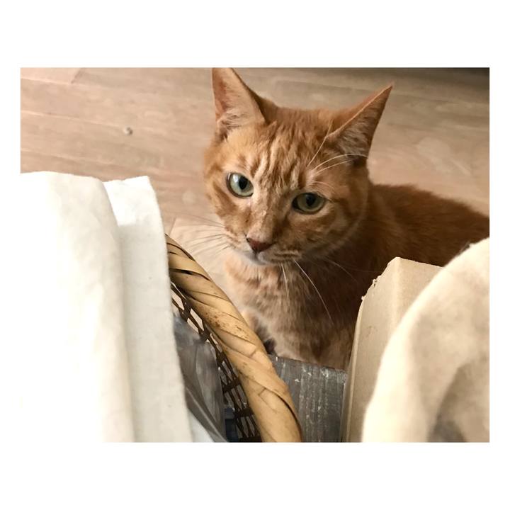 Fc5a91b1 5d38 4e1c a0f1 6fab30f129e9 1654407890998