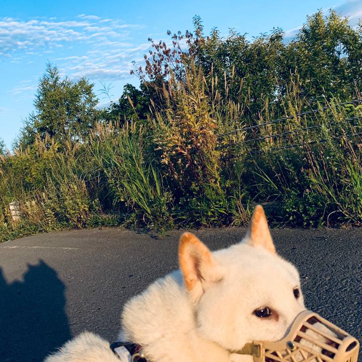 Fc5ad355 b6ae 4770 9f3a 7663d8bbb85a 1599513378670