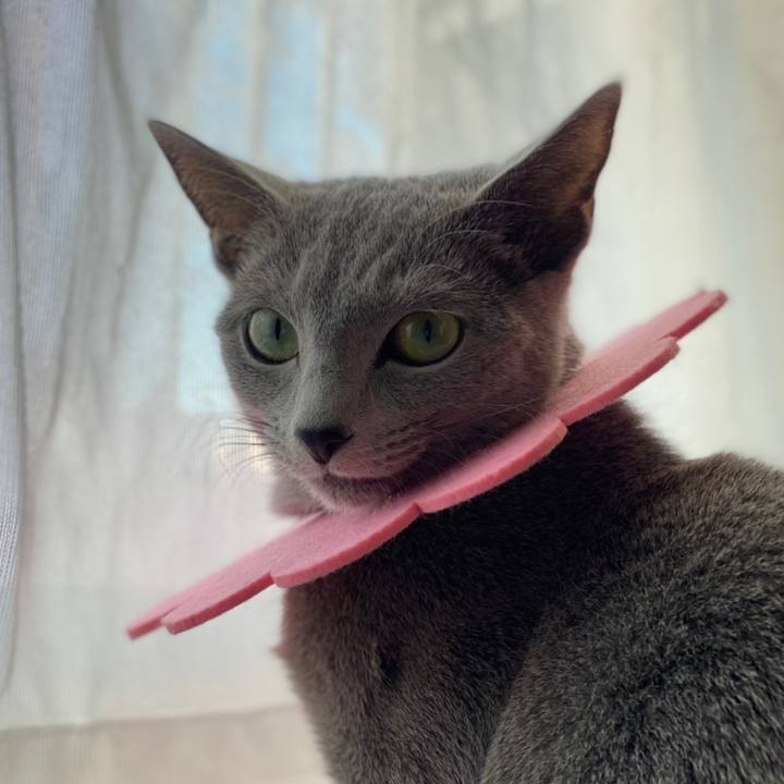 Fc5ae0de e020 49bc a1e9 d1c6779ea67f 1610060907933