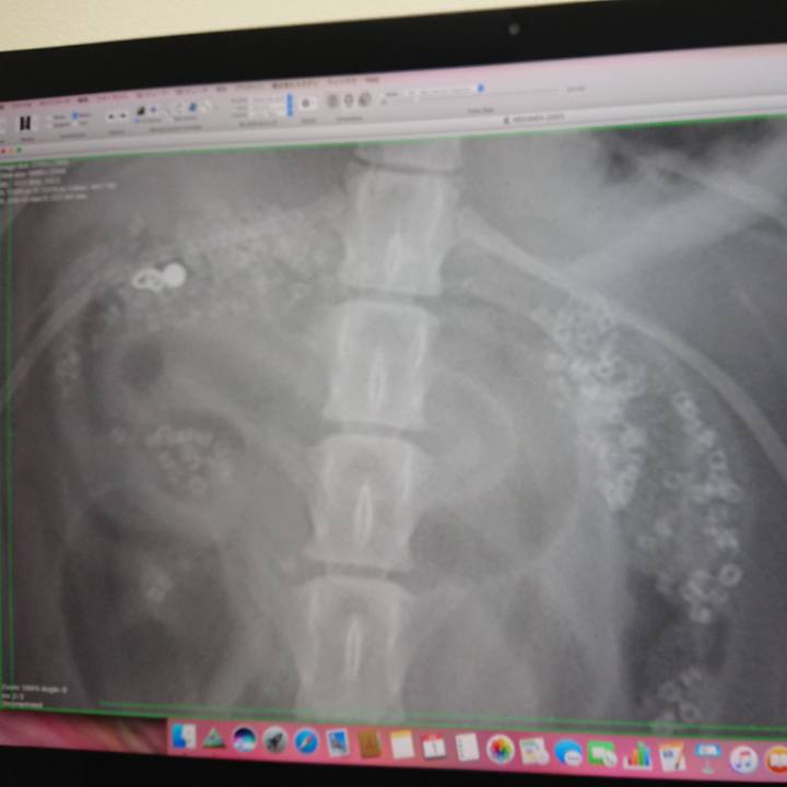 Fc5ae95c 8fc9 4e55 9d92 2f0ddb513cec 1559355307353