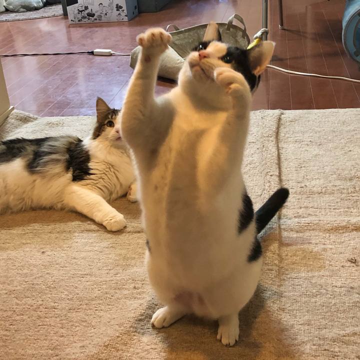 Fc5aebd3 5050 4213 bfe6 c9b6c18fdf97 1553077680797