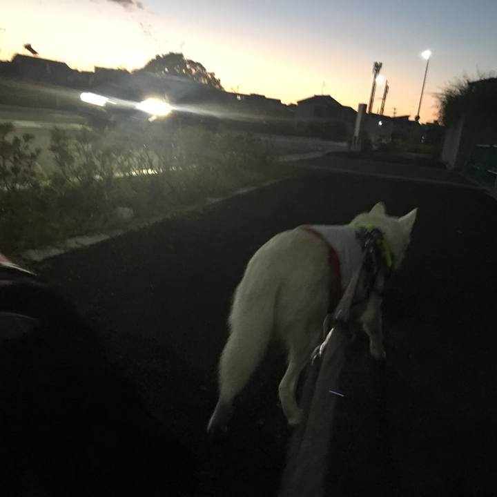 Fc5aed0e 40ee 4250 899f 6f96f3c2ab8a 1542665051601