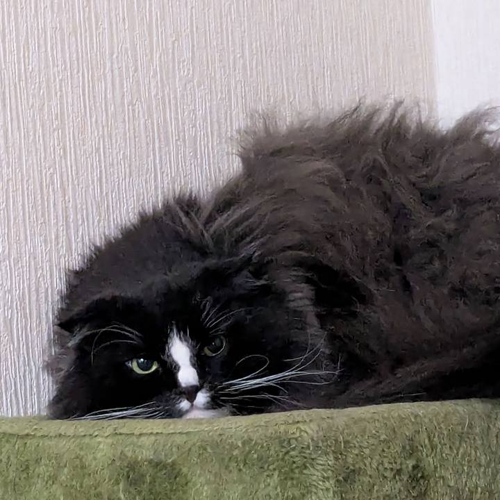 Fc5af7d0 91e2 45d6 acd2 65cee34d557f 1774905747200