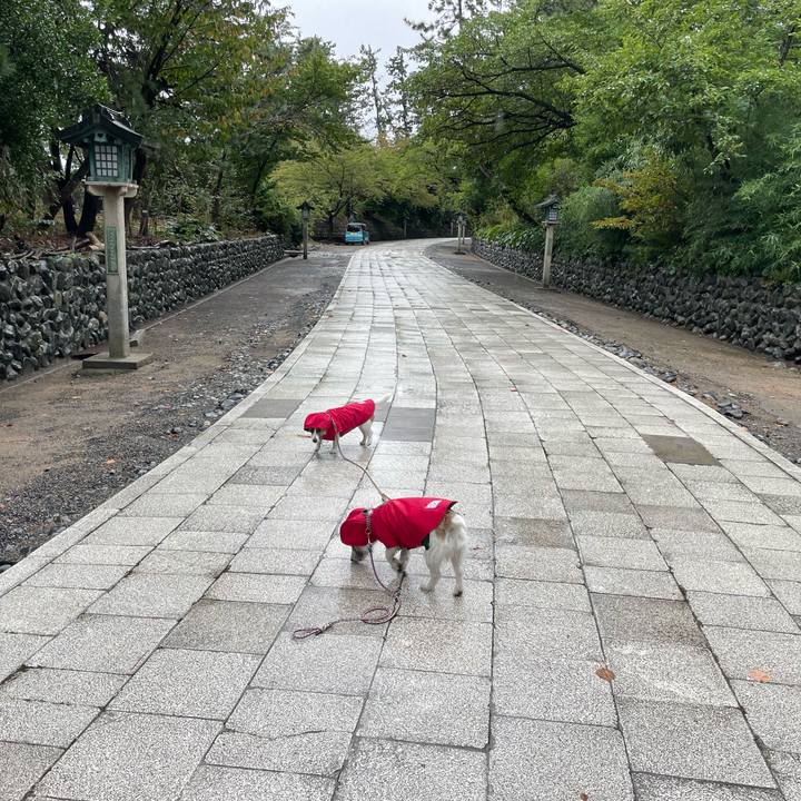 Fc5b1706 2daa 48fc 9d9f 820e3a545e13 1665360594711