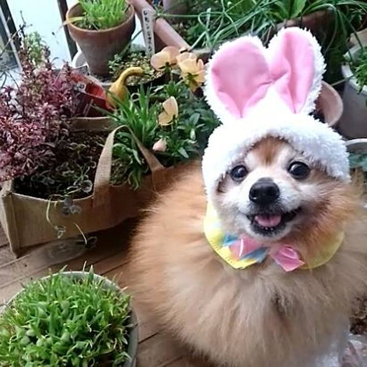 Fc5b35a1 9087 4f14 9702 d37017ccd86e 1524996160240