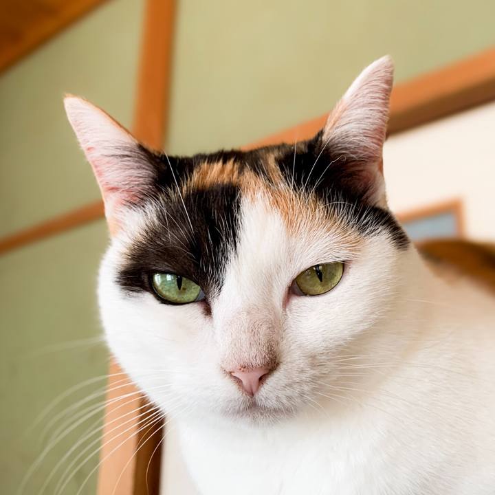 Fc5b581c 0636 4e6e b50c 066c77dcc736 1601341907883