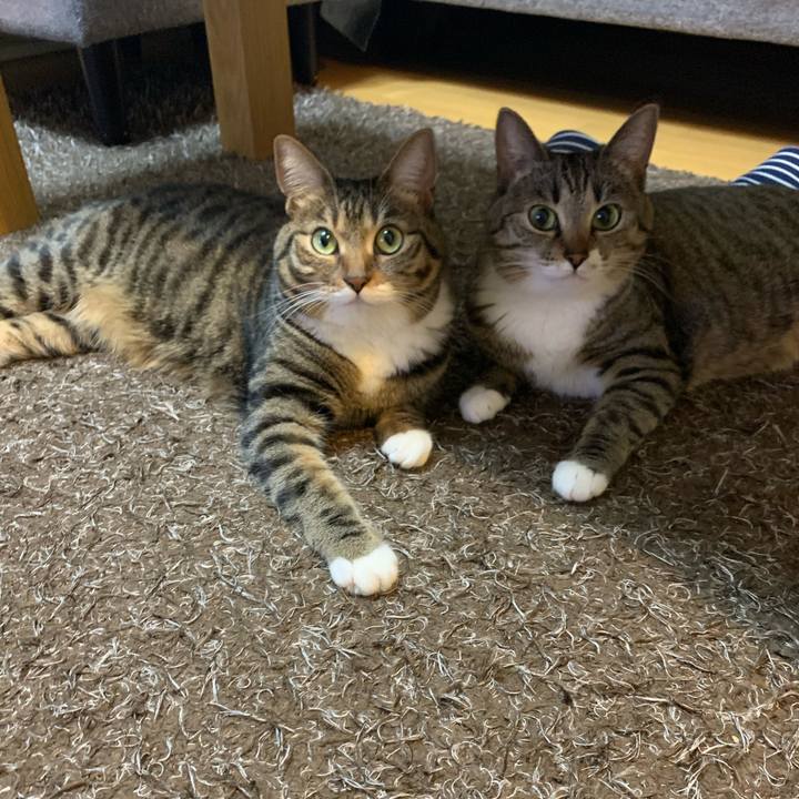 Fc5b5aec c64d 4937 978f 6dab9062dc2e 1609491338352