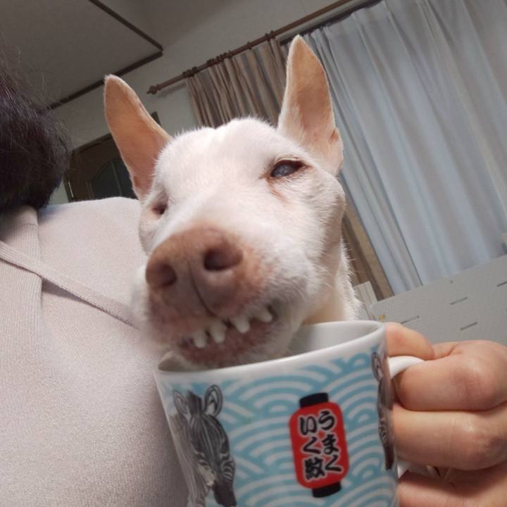 Fc5b5f56 5a5b 44be 9c41 aa061c2f7e22 1609803077722