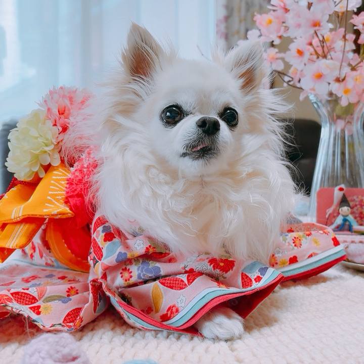 Fc5b6825 d5ac 4b55 8687 ad84bc441c61 1772511735422