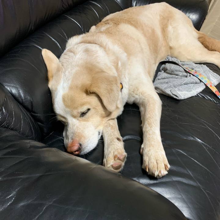 Fc5ba347 5d7a 4213 affc b8d8290195d1 1581603914511