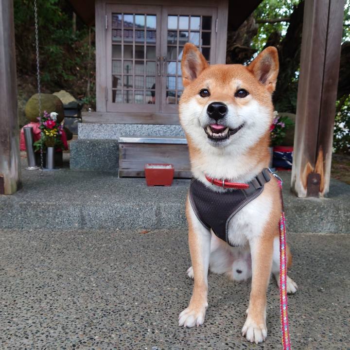 Fc5bb11c 7566 4dd9 95e6 79983414dd83 1758713391067