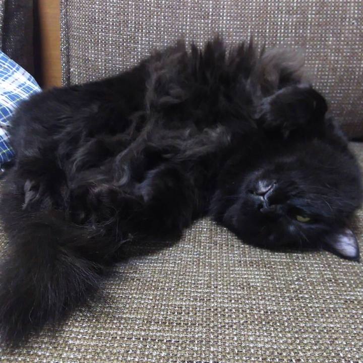 Fc5bbbf5 b45e 45e6 8bf5 68d57a6e1b3e 1510385519448