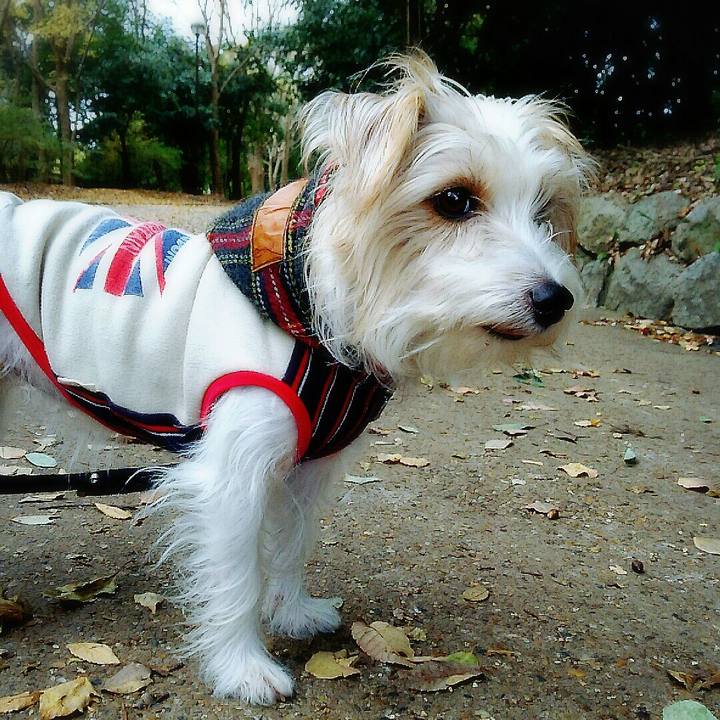 Fc5bcf62 c02b 40da b920 96db601eca9d 1512205588907