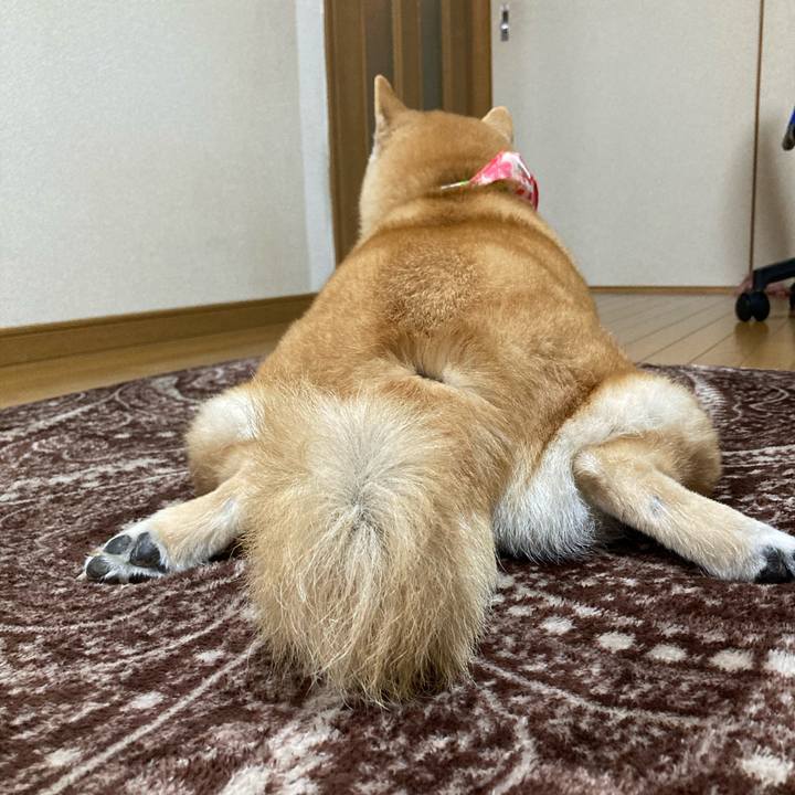 Fc5bd308 b886 47a2 89f7 d75bc091a71f 1616671852078