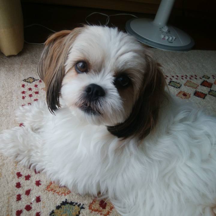 Fc5bda33 e4f0 4ae3 9d30 3b07896975cb 1527726199433